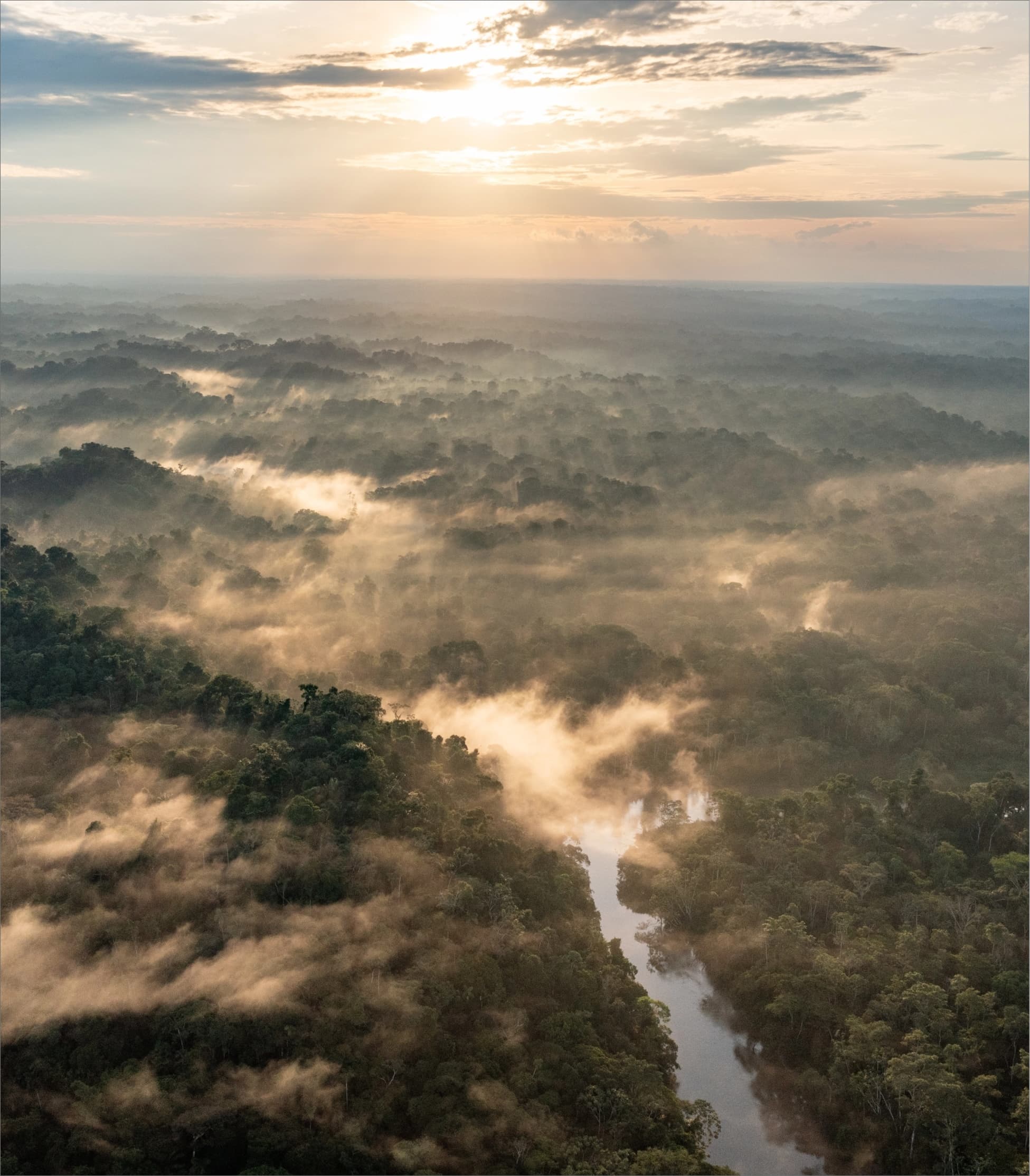 A view of the Mossy Earth land by the Yasuní rainforest