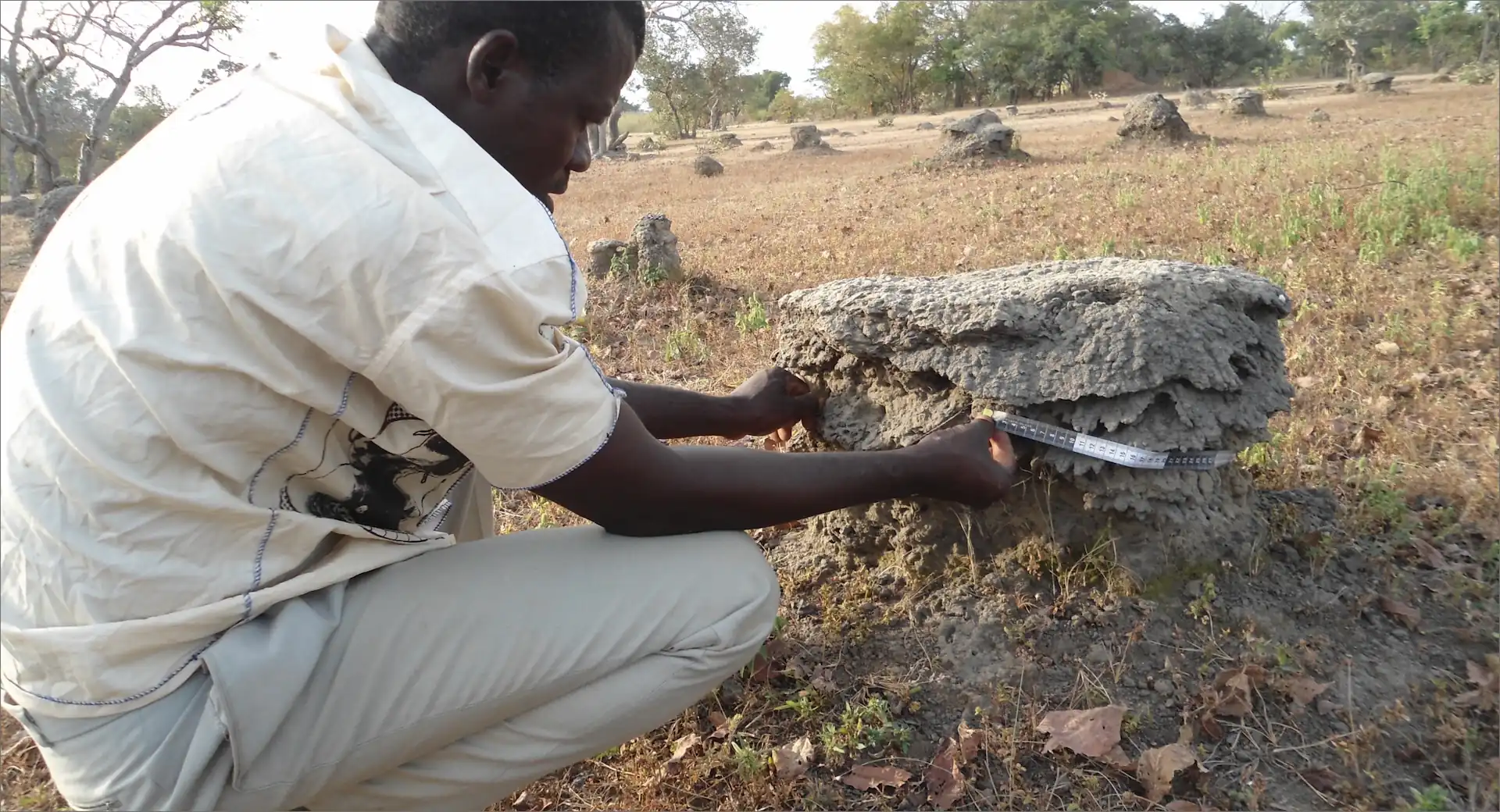 A person standing in a field with termite mounds