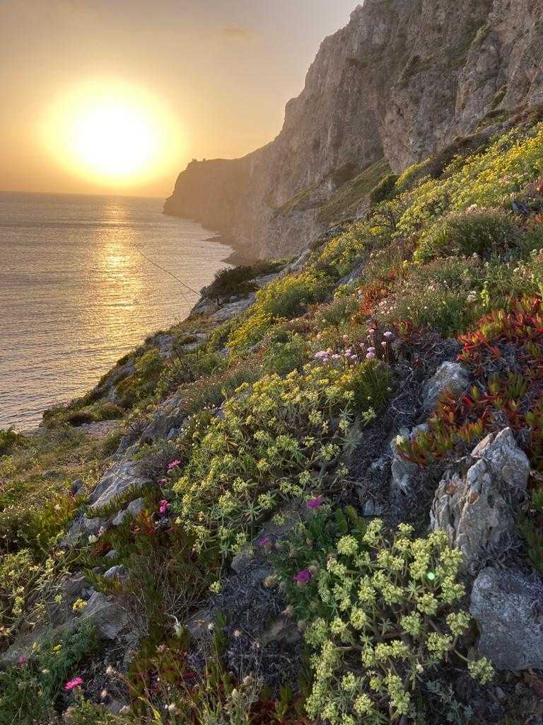 Picture of a Coastal habitat