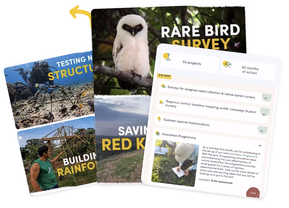 Watch the team on the ground