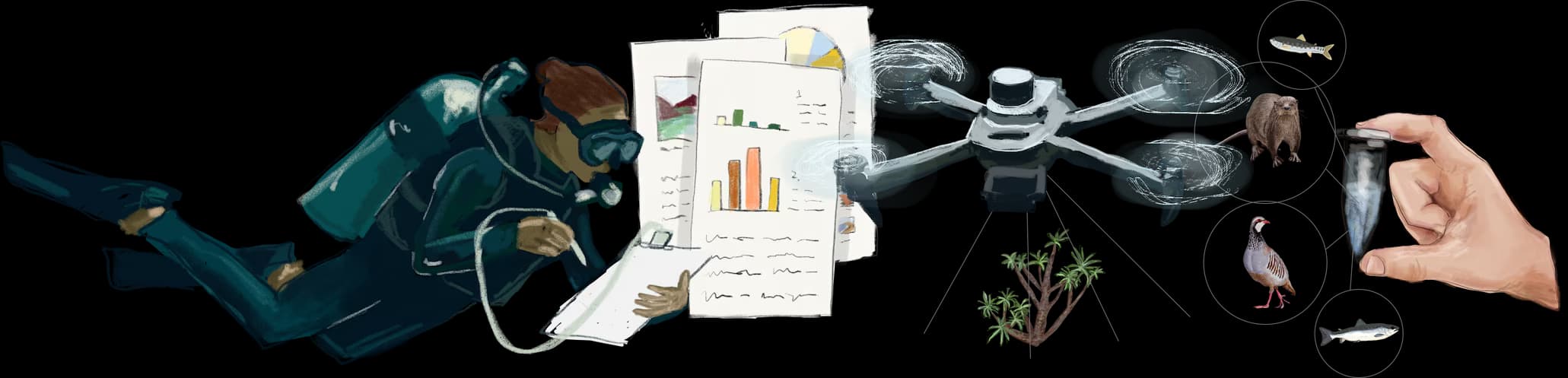 What sets us apart illustration