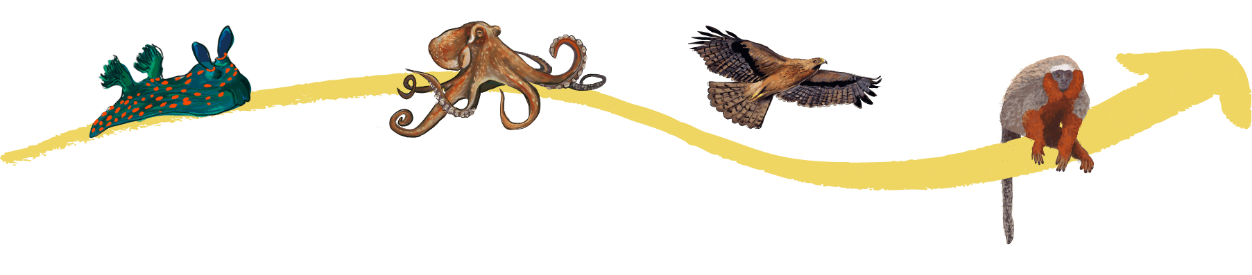 Arrow with animals illustration