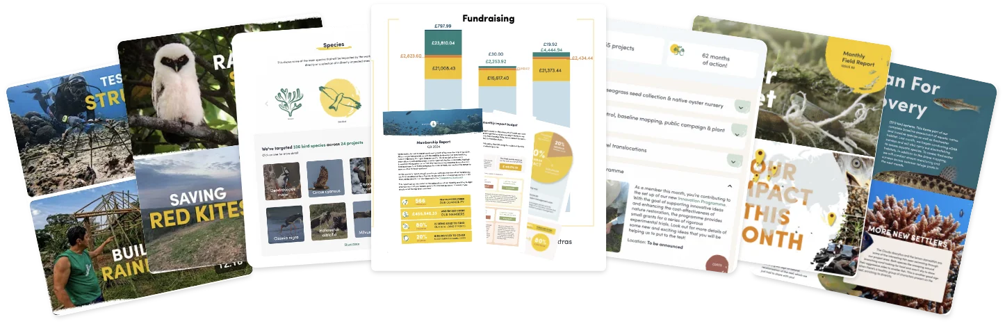 Image depicting the various sources of Mossy Earth information