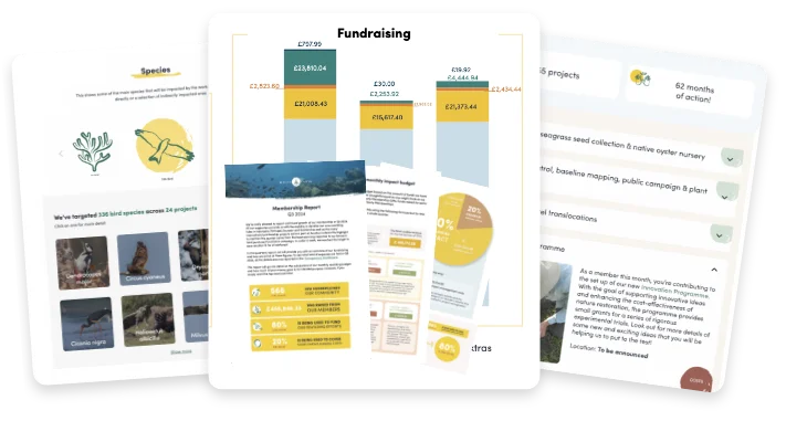 Track your impact preview