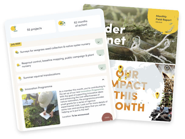 Your account preview