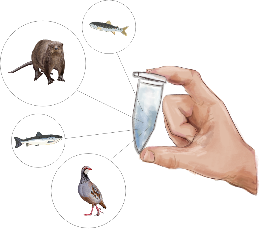 Monitoring Results illustration